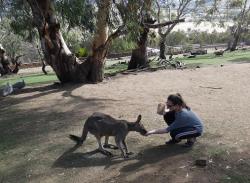 Katie feeding kangaroo at Bonorong